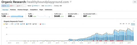 Case Studies client results healthy hound playground 480x160